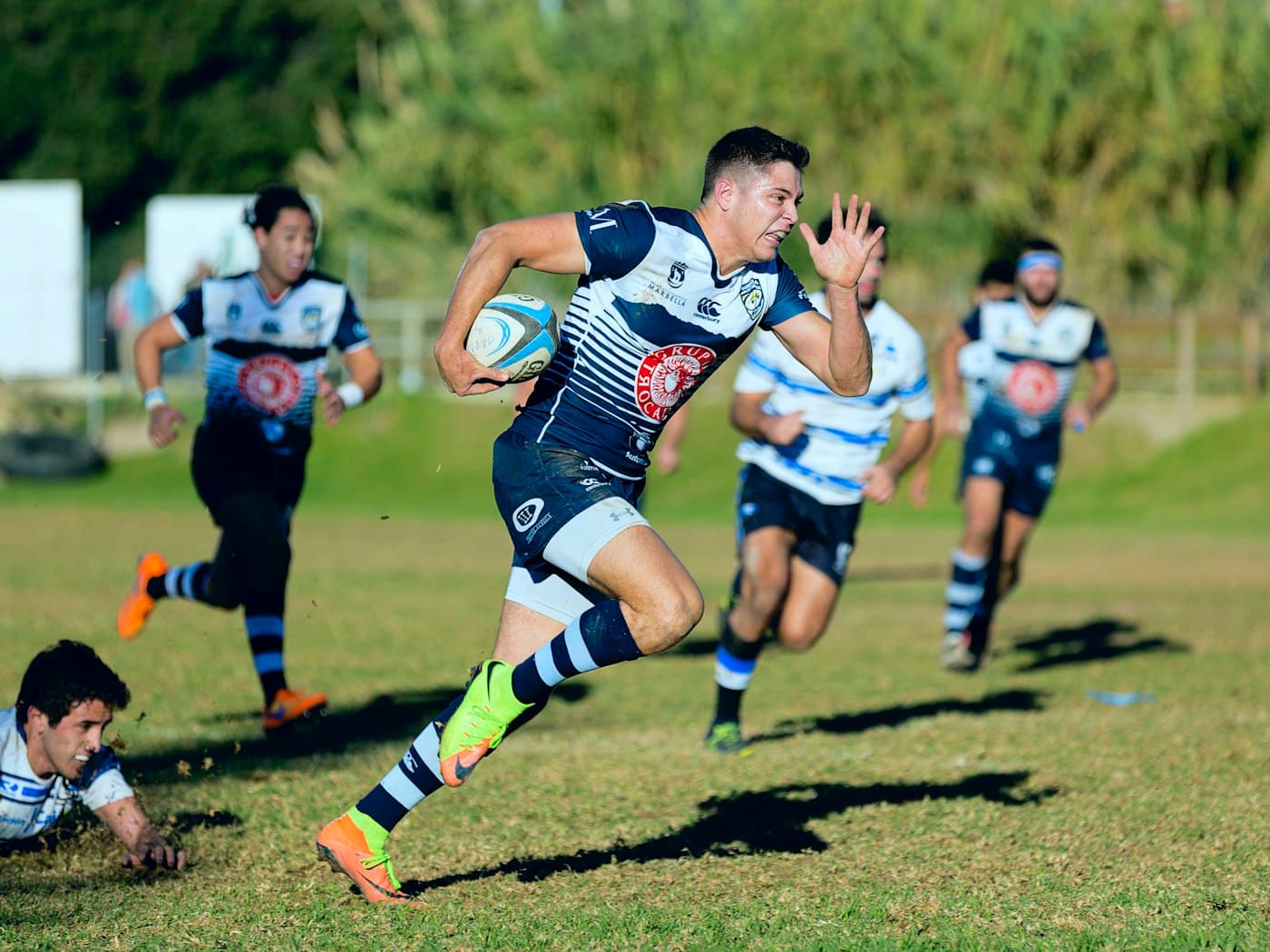 Rugby players contesting the ball during a match