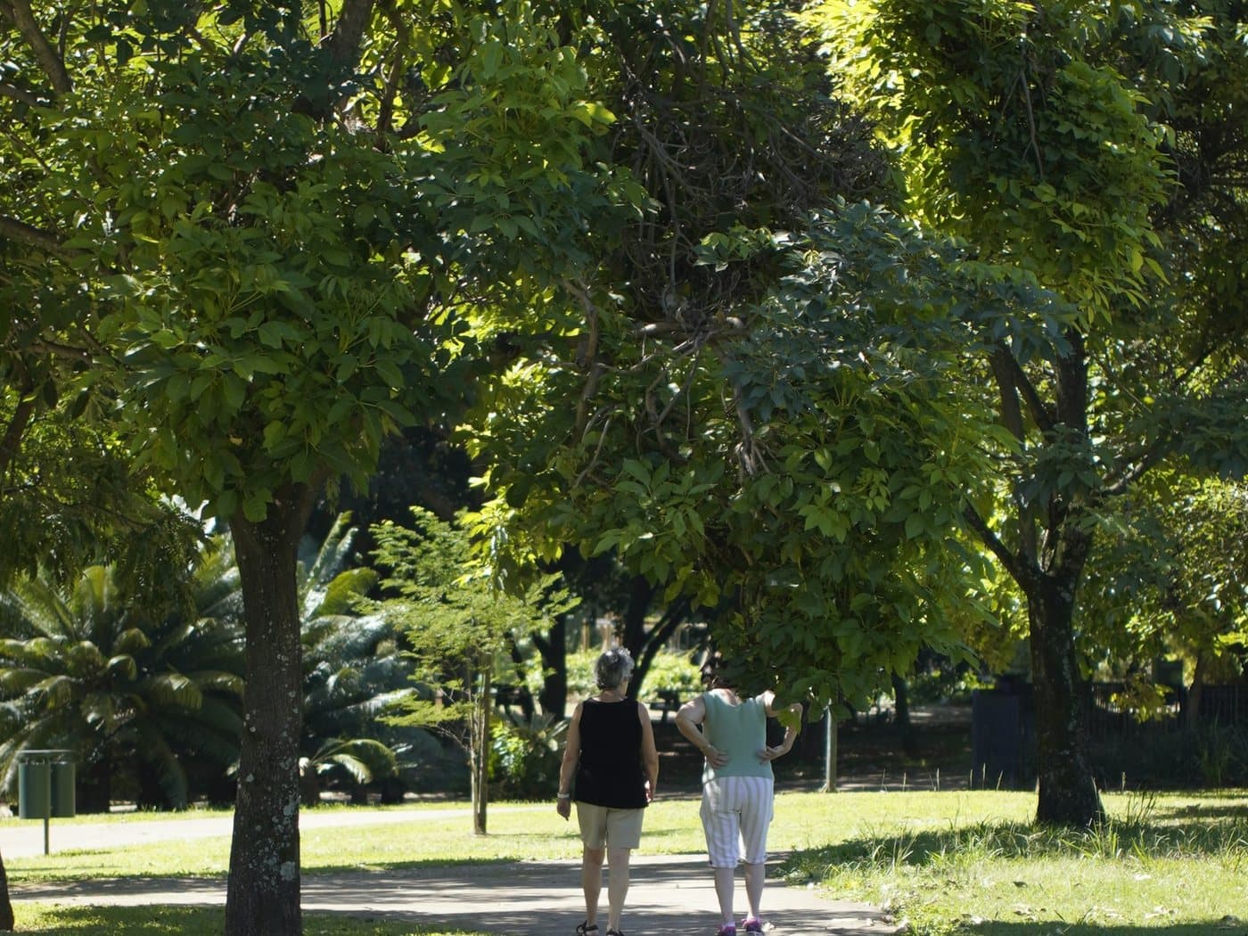 Two people walking away along a shaded park path